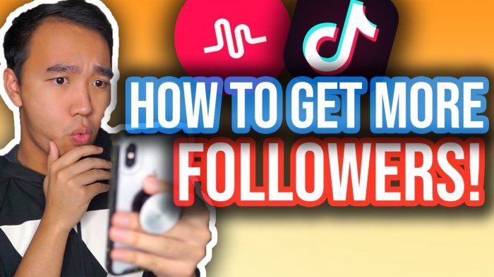 Free and paid ways to increase followers and likes on TikTok